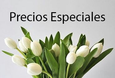 Precios Especiales